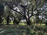 TBD Sumter Hwy. - Photo 3