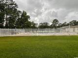 1230 White Tree Ln. - Photo 11
