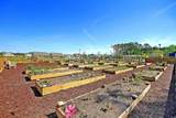 771 El Pepino Loop - Photo 24