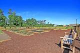 771 El Pepino Loop - Photo 25