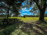 000 Cove Rd. - Photo 37