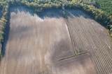 15.98 Acres-TBD Williamson Rd. - Photo 18