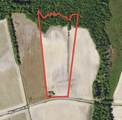 15.98 Acres-TBD Williamson Rd. - Photo 19