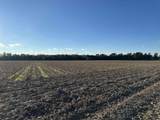15.98 Acres-TBD Williamson Rd. - Photo 3