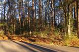 TBD Bethel Rd. - Photo 2