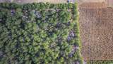 LOT 1 W G Rd. - Photo 17