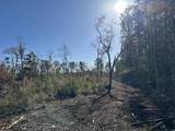18+/- Acres TBD Epps Rd. - Photo 5