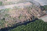 25+/- Acres TBD Corner Rd. - Photo 11