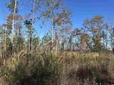 25+/- Acres TBD Corner Rd. - Photo 4