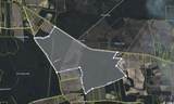 TBD Joyner Swamp Rd. - Photo 4