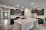 393 Rose Mallow Dr. - Photo 5