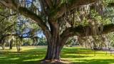 934 Francis Parker Rd. - Photo 4