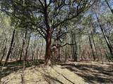 34 Acres - TBD Easler Hwy - Photo 13