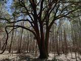 34 Acres - TBD Easler Hwy - Photo 14