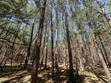 34 Acres - TBD Easler Hwy - Photo 15