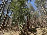 34 Acres - TBD Easler Hwy - Photo 16
