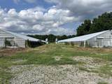 100 Lulu Ln. - Photo 39