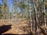 135 Low Country Loop - Photo 14