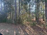 135 Low Country Loop - Photo 4