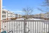 4846 Carnation Circle - Photo 19