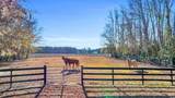 2136 Bear Grass Rd. - Photo 36