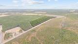 TBD Joyner Swamp Rd. - Photo 20