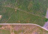 TBD Joyner Swamp Rd. - Photo 1