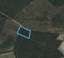 TBD Joyner Swamp Rd. - Photo 3