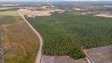 TBD Joyner Swamp Rd. - Photo 5