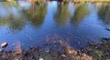 809 Edisto River Rd. - Photo 4