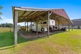 3101 Willow Creek Rd - Photo 13