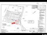 3009 New Castle Loop - Photo 2
