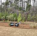 1577 Littleleaf Loop - Photo 30
