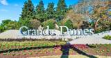 1579 Bellini Ct. - Photo 39