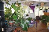 117 Zoe Ct. - Photo 12