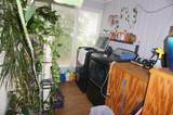 117 Zoe Ct. - Photo 14