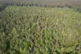 24.71 Acres-TBD Old Forreston Rd. - Photo 3
