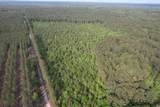 24.71 Acres-TBD Old Forreston Rd. - Photo 4