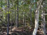 TBD Buck Dr. - Photo 3
