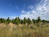 TBD Highway 430 - Photo 15