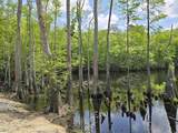 Lot 18 Cypress Knee Ct. - Photo 12