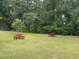 1065 Palm Dr. - Photo 39