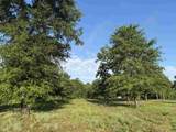 10 Acres - TBD Cohen Dr. - Photo 6