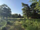 10 Acres - TBD Cohen Dr. - Photo 7