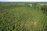 20 Acres - TBD Highway 260 - Photo 6