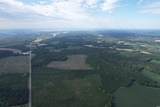 20 Acres - TBD Highway 260 - Photo 8