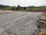 TBD Albatross Rd - Photo 3