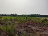 TBD Albatross Rd - Photo 4