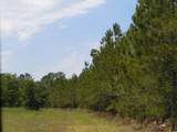 2231 Barts Rd. - Photo 7