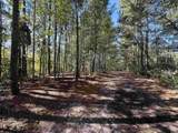 5.47 Acres-TBD High Hill Rd. - Photo 13